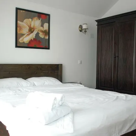 Nobila Salicea Villa Cluj-Napoca