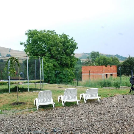 Nobila Salicea Villa Cluj-Napoca